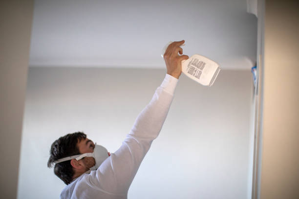 Best Health and Safety Mold Remediation in Devine, TX