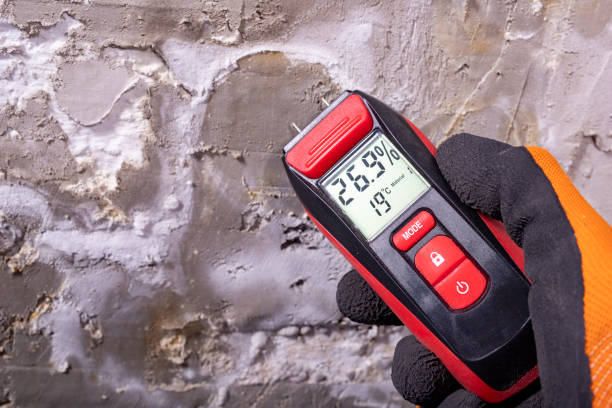Best Bathroom Mold Remediation in Devine, TX